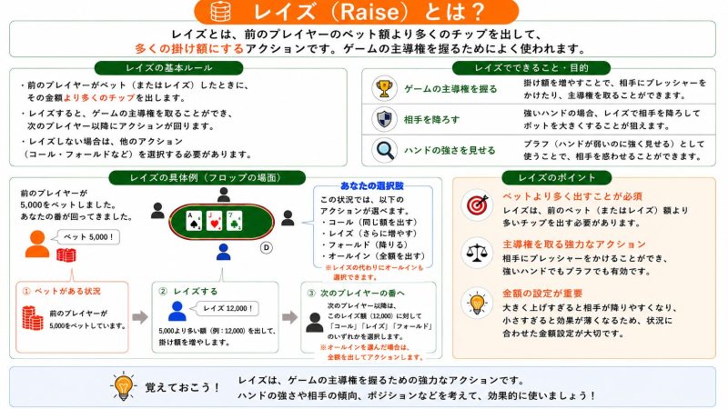 レイズの解説